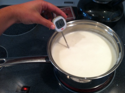 Heating whole milk.